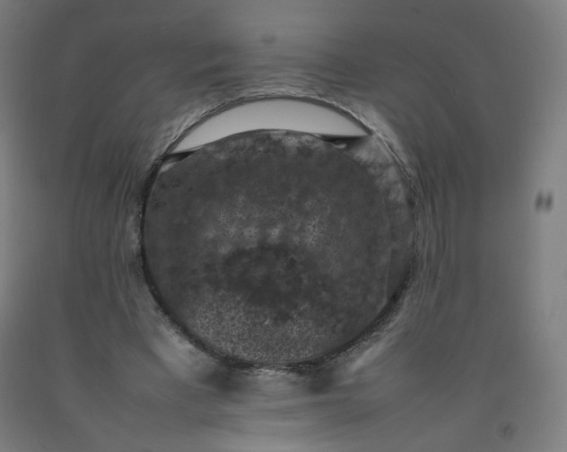 X0000092220393200709281047