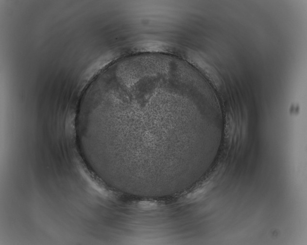 X0000092220394200709281047