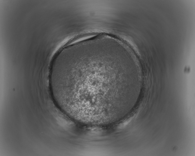 X0000092220395200709281047