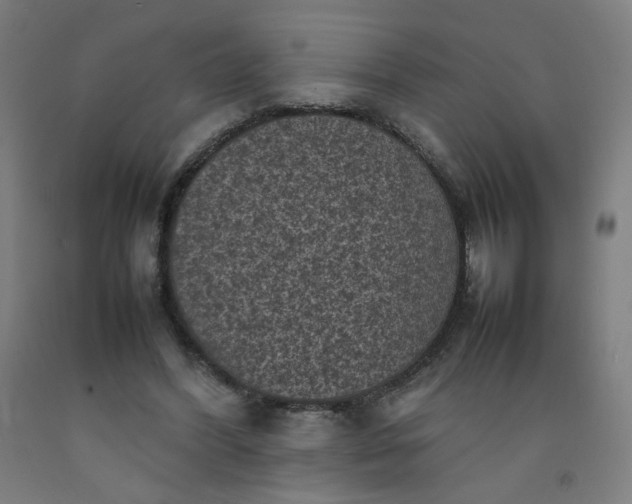 X0000092220396200709281047