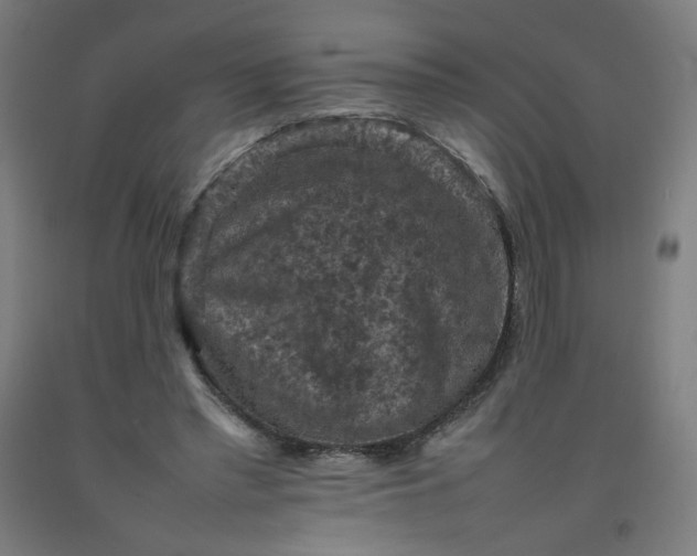 X0000092220397200709281047