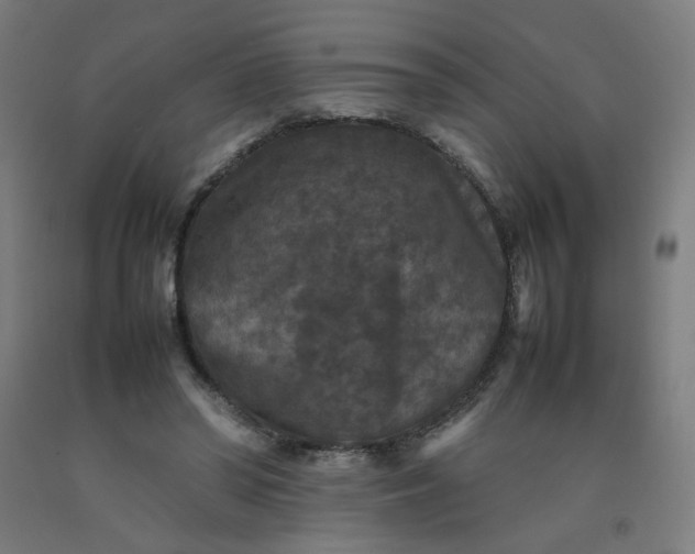 X0000092220398200709281047