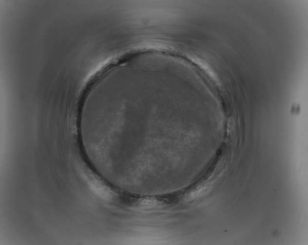 X0000092220399200709281047