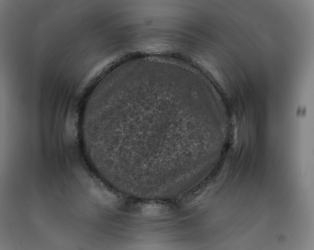 X0000092220400200709281047
