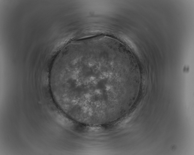 X0000092220401200709281047
