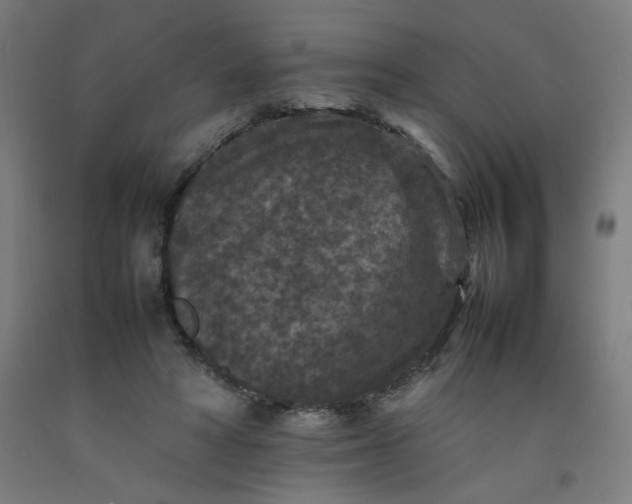 X0000092220402200709281047