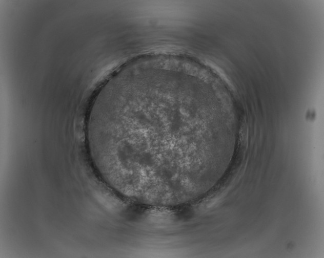 X0000092220403200709281047