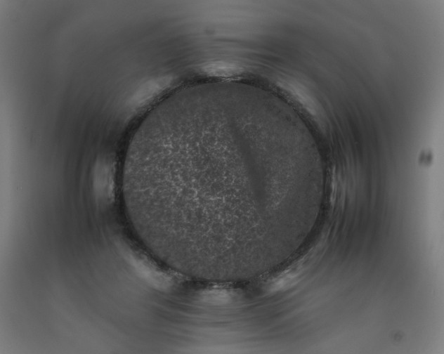 X0000092220404200709281047
