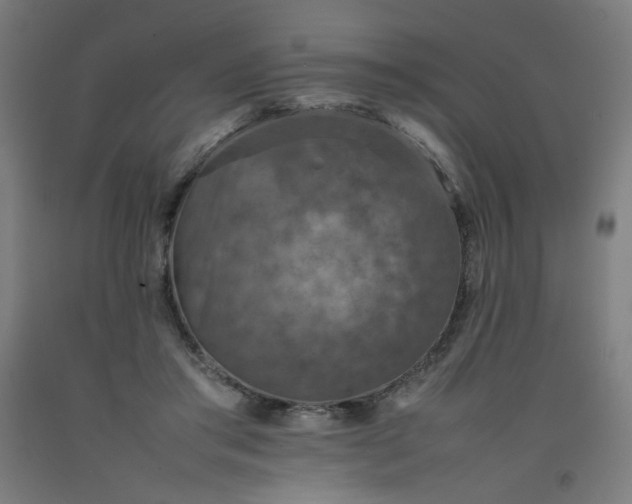 X0000092220405200709281047