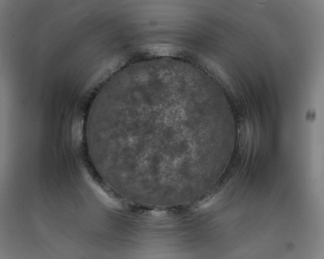 X0000092220406200709281047