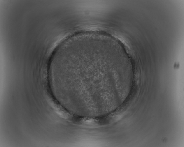 X0000092220407200709281047