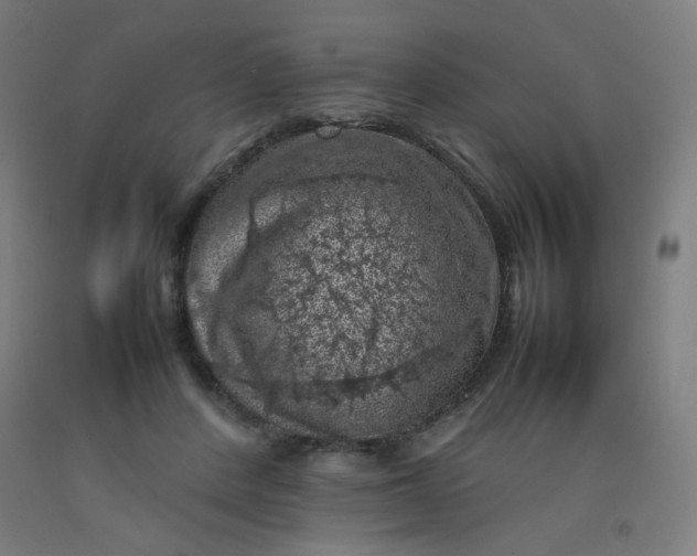 X0000092220408200709281047