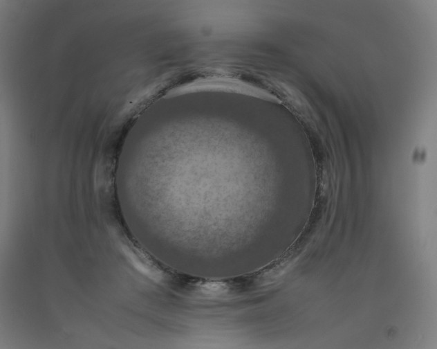 X0000092220409200709281047