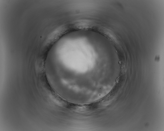 X0000092220411200709281047