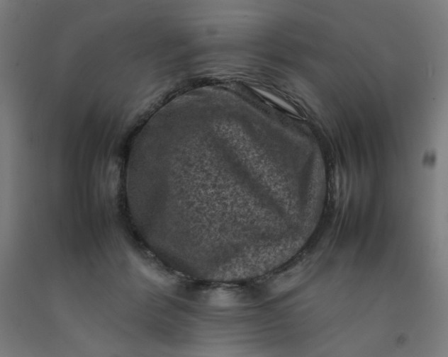 X0000092220412200709281047