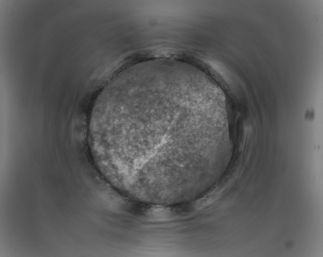 X0000092220413200709281047