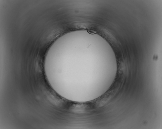 X0000092220414200709281047