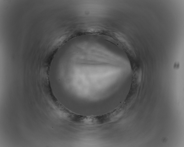 X0000092220415200709281047
