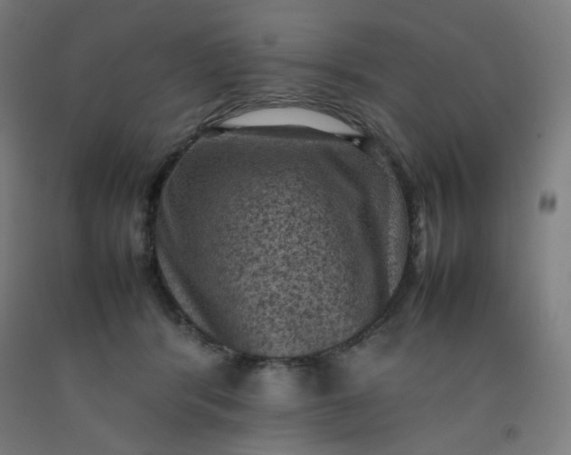 X0000092220416200709281047