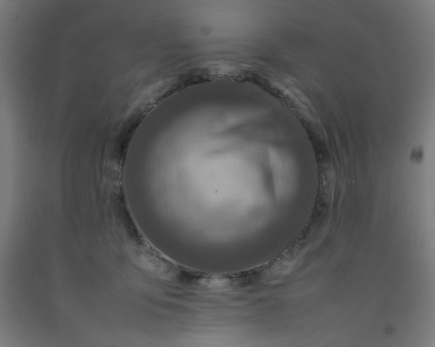 X0000092220419200709281047