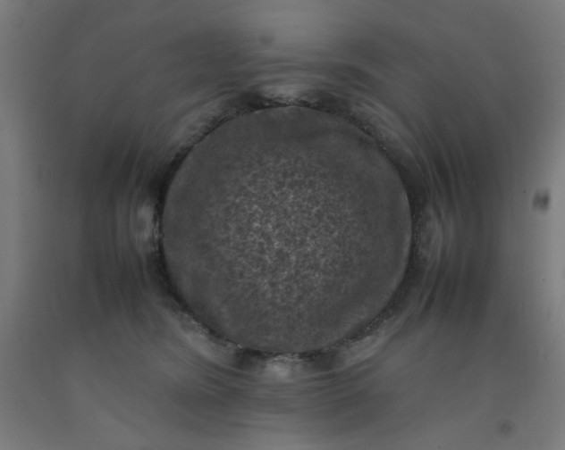 X0000092220420200709281047