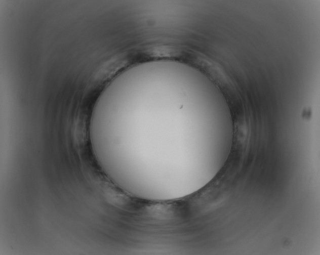 X0000092220422200709281047