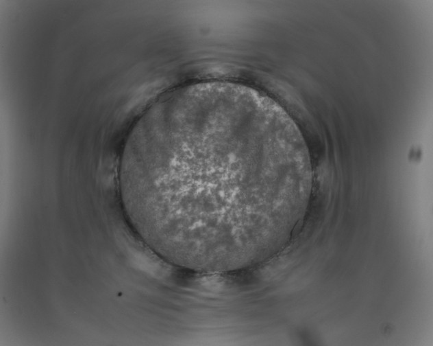 X0000092220423200709281047