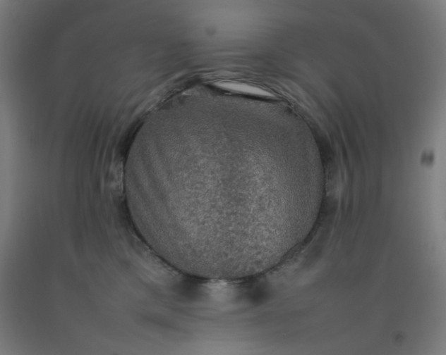 X0000092220425200709281047