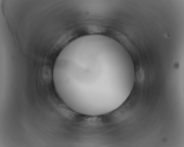 X0000092220426200709281047