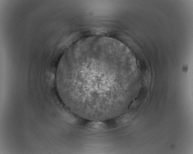 X0000092220427200709281047