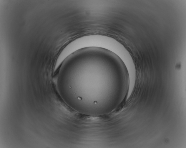 X0000092220428200709281047