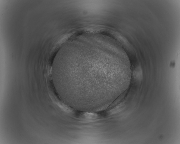 X0000092220429200709281047