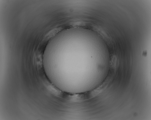 X0000092220430200709281047