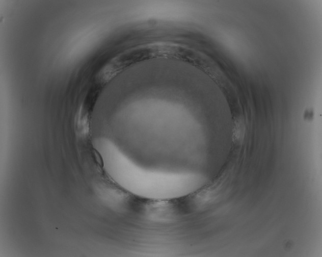 X0000092220431200709281047