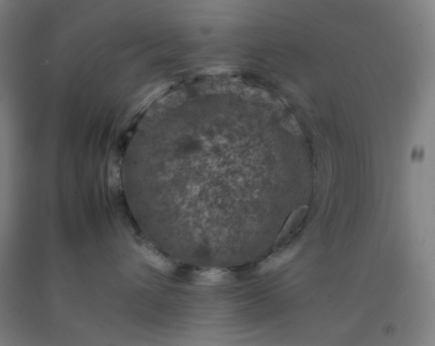 X0000092220432200709281047