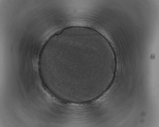 X0000092220434200709281046