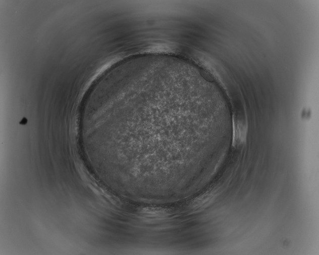 X0000092220435200709281046