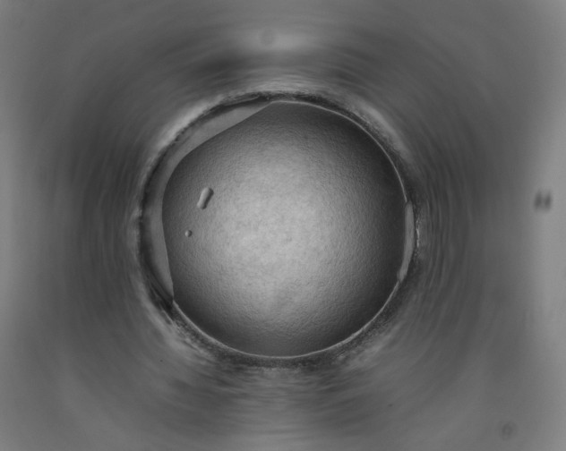 X0000092220436200709281046