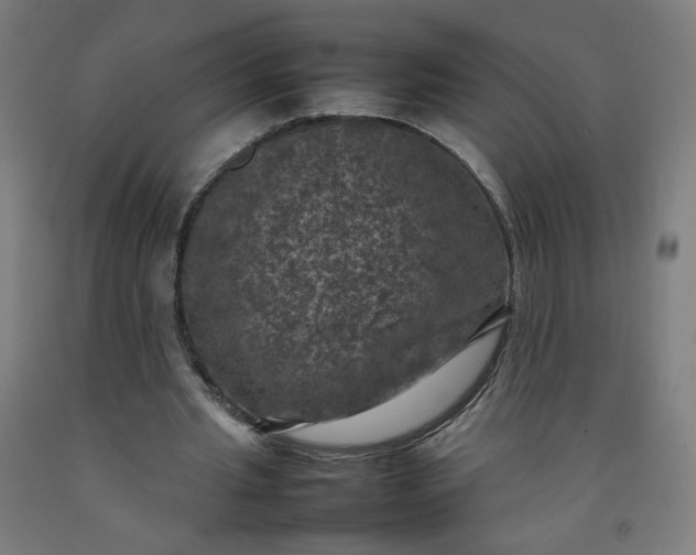 X0000092220437200709281046