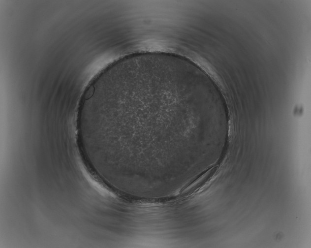 X0000092220438200709281046