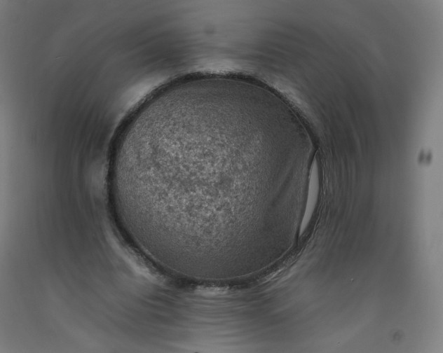 X0000092220440200709281046