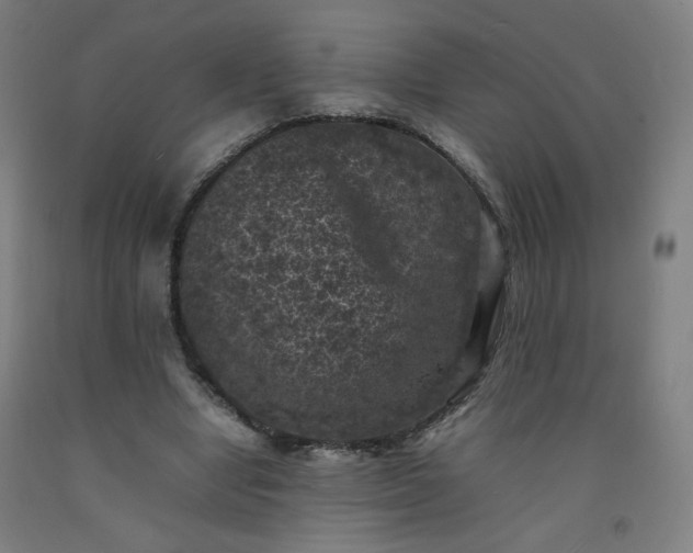 X0000092220442200709281046