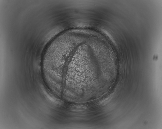 X0000092220443200709281046