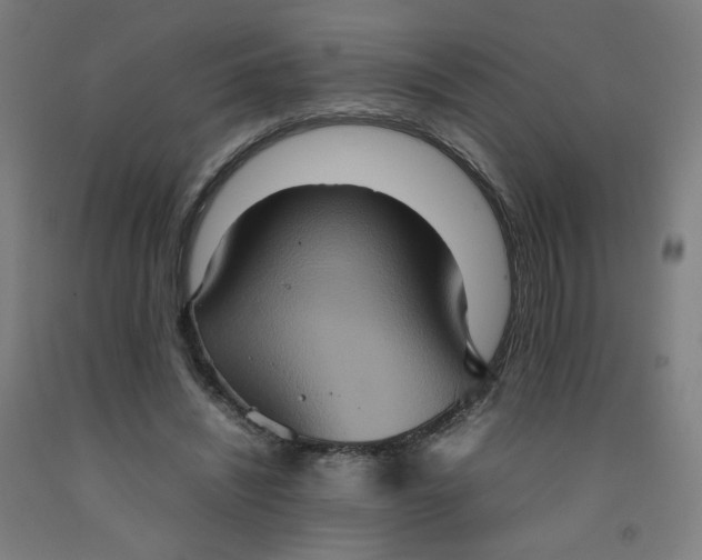 X0000092220444200709281046