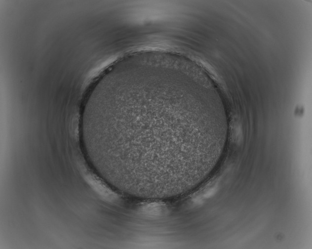 X0000092220446200709281047