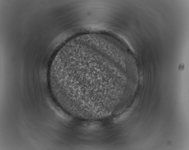 X0000092220447200709281047