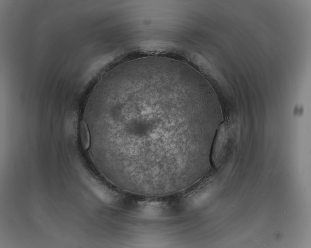 X0000092220448200709281047
