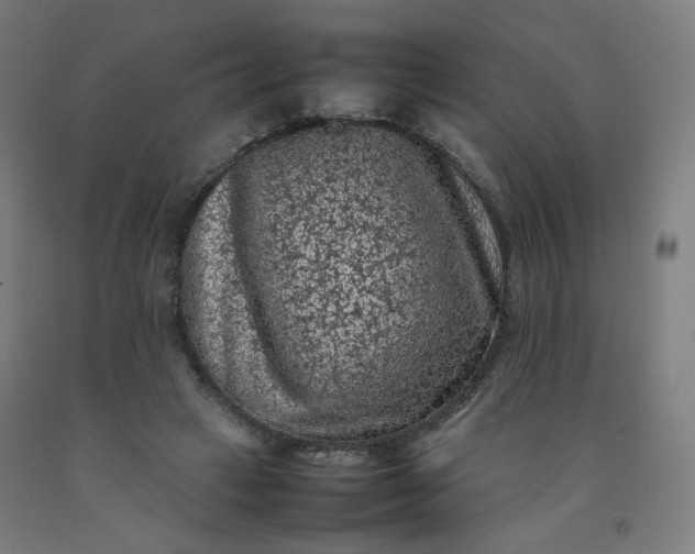 X0000092220449200709281047