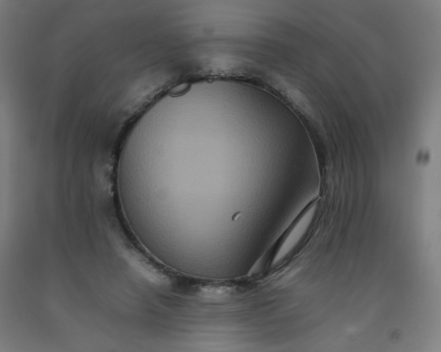 X0000092220450200709281047