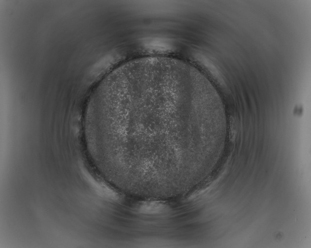 X0000092220451200709281047